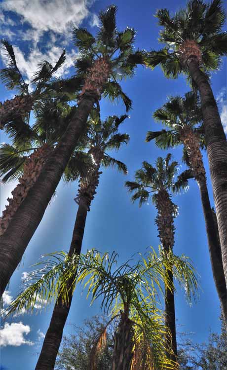palms upward